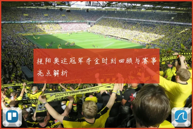 桂阳奥运冠军夺金时刻回顾与赛事亮点解析