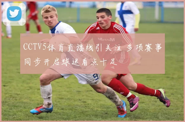CCTV5体育直播线引关注 多项赛事同步开启球迷看点十足
