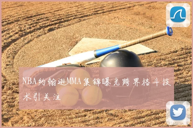 NBA约翰逊MMA集锦曝光跨界格斗技术引关注