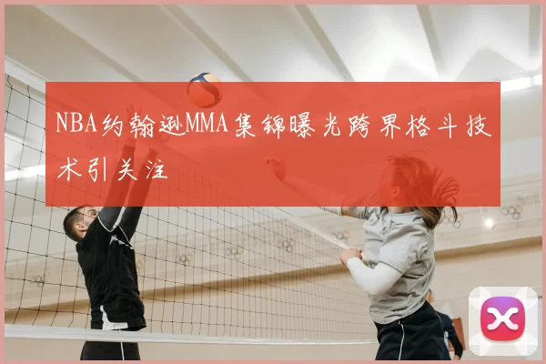 NBA约翰逊MMA集锦曝光跨界格斗技术引关注