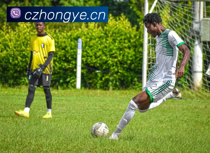 NBA全明星赛阵容公布詹姆斯杜兰特领衔东西部阵容对决